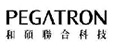 PEGATRON PEGATRON